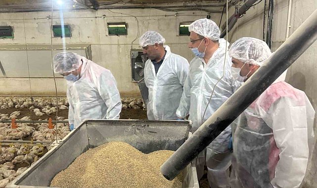 Mart ayında yıllık tavuk yumurtası üretimi yüzde 8,8 azaldı
