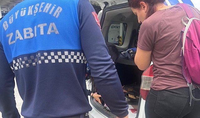 Menteşe otogarında sağlıksız tavuk döner ele geçirildi