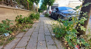 Mera değil Efeler'in merkez mahallesi