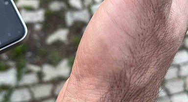 Meralar canlandı, kenelere dikkat