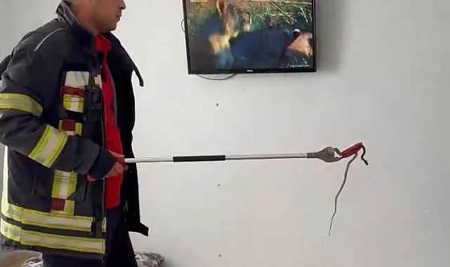 Mersin'de 2 gün önce eve giren yılanı itfaiye erleri bulup çıkarttı
