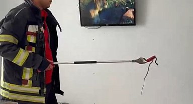 Mersin'de 2 gün önce eve giren yılanı itfaiye erleri bulup çıkarttı