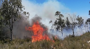Mersin'de çıkan yangınlarda 14 dönüm alan zarar gördü