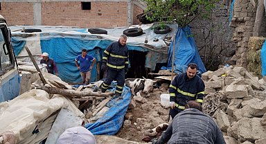 Merzifon'da ahır çöktü, 2 büyükbaş hayvan kurtarıldı