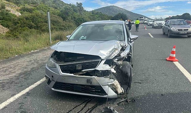 Milas'ta trafik kazası: 2 yaralı
