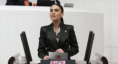 Milletvekili Özcan'dan sokak hayvanları için Bakan Yumaklı'ya önerge