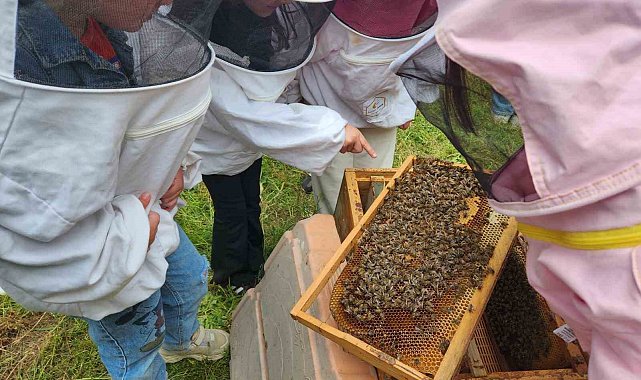 Minik öğrenciler arıların dünyasını keşfetti