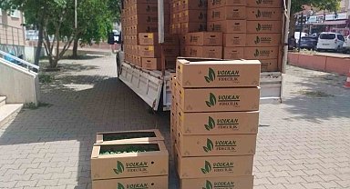 Muratlı'da çiftçiye fide desteği
