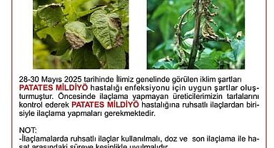 Niğde İl Tarım ve Orman Müdürlüğü'nden üreticilere mildiyö uyarısı