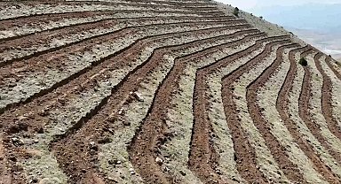 Niğde'nin Himmetli Köyü'nde 100 hektarlık alanda ağaçlandırma yapılacak