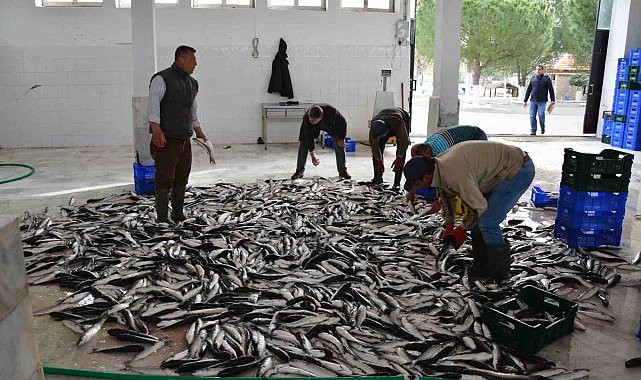 Nisan ayında Muğla'dan ülke ekonomisine 95,2 milyon dolarlık ihracat katkısı