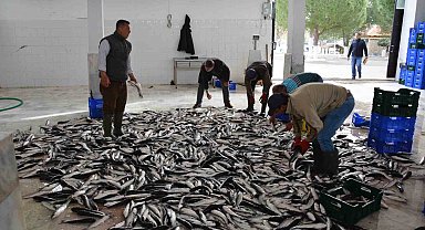 Nisan ayında Muğla'dan ülke ekonomisine 95,2 milyon dolarlık ihracat katkısı