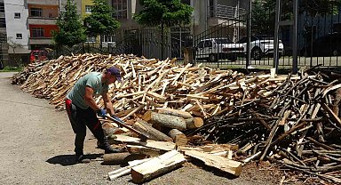 Odun kırma performansıyla şaşırtıyor