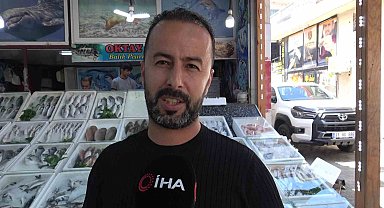 Oltasına takılan köpek balığı yavrusunu arkadaşına nispet yaparak denize bıraktı