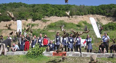 Ordu'da kokarcaya karşı sülün