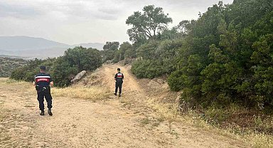 Orman yangınlarına karşı denetimler sıklaştırıldı