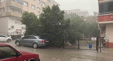 Osmaniye'de fırtına ağaçları kökünden söktü