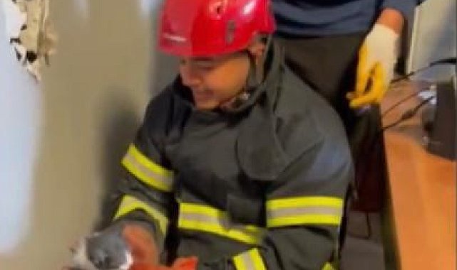 Osmaniye'de mahsur kalan yavru kedileri itfaiye ekipleri kurtardı