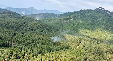Osmaniye'de ormanlık alanlara girişler yasaklandı