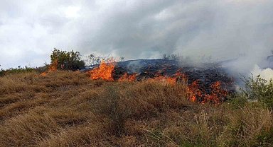 Otluk alanda çıkan yangın ormana sıçramadan söndürüldü