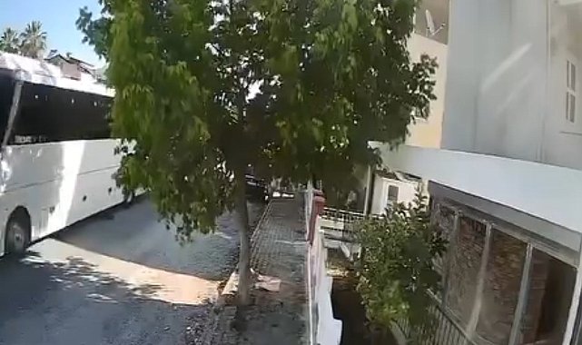 Otobüs şoförü sokak köpeğini ezdi