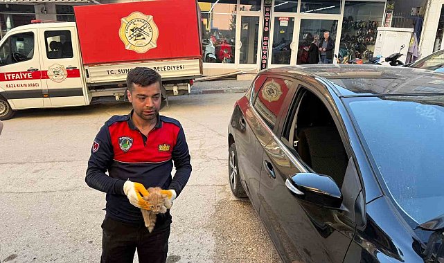 Otomobilin motor kısmına giren yavru kediyi itfaiye kurtardı