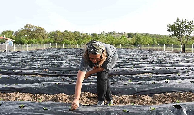 Pandemi günlerinde Ankara'yı terk etti, memleketinde üretici oldu, şimdi talepleri yetiştiremiyor
