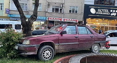 Park halindeyken haraket eden otomobil ağaraca çarparak durabildi