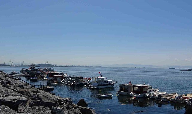 Pendik'te balıkçılara sürpriz: Oltaya köpek balığı takıldı