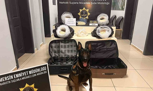 Polis tam 58 kilo 310 gram uyuşturucu hap ele geçirdi: 4 gözaltı
