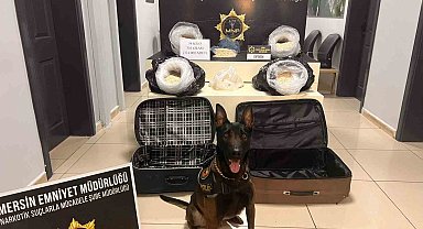 Polis tam 58 kilo 310 gram uyuşturucu hap ele geçirdi: 4 gözaltı