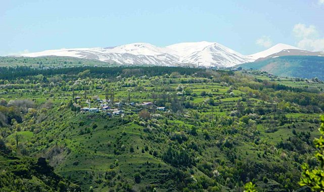 Posof'ta baharla gelen güzellikler