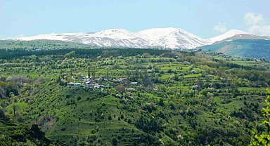 Posof'ta baharla gelen güzellikler