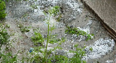 Posof'ta dolu etkili oldu