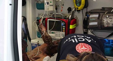 "Korku evi"ndeki bakım sırasında çıkan yangında gerçek korkuyu yaşadılar: 3 yaralı