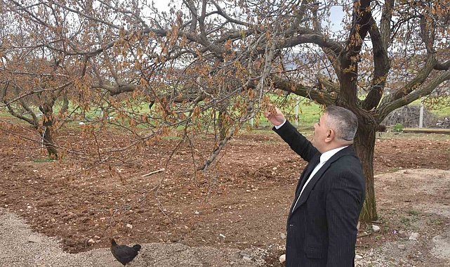 Sadıkoğlu: "Verilecek destekler sadece kayısıyı değil, şehrimizin geleceğini ilgilendiriyor"