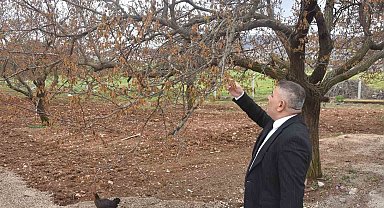 Sadıkoğlu: "Verilecek destekler sadece kayısıyı değil, şehrimizin geleceğini ilgilendiriyor"