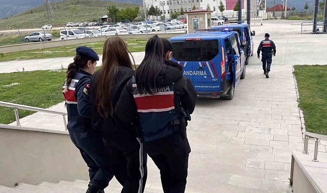 Sahte araç kiralama siteleriyle 160 milyon TL vurgun yapan çeteye 5 ilde operasyon: 19 gözaltı