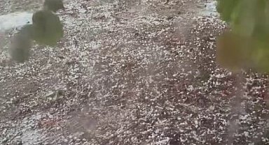 Sakarya'da dolu tarım arazilerini vurdu