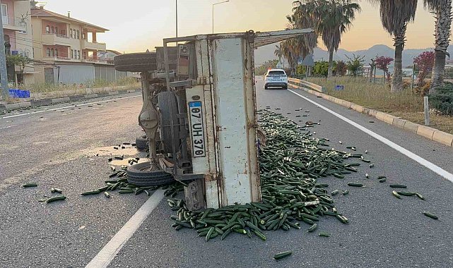 Salatalık yüklü kamyonet devrildi: Salatalıklar yola savruldu