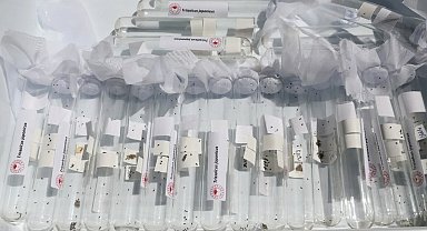 Salihli'de 3 bin 'Samuray Arıcığı' doğaya salındı