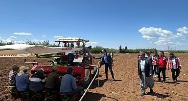 Samsat'ta tütün ekimi başladı