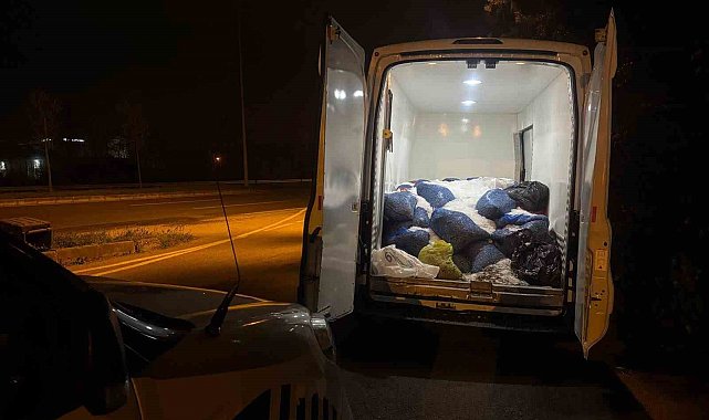 Samsun'da 3,8 ton kaçak avlanmış midye ele geçirildi