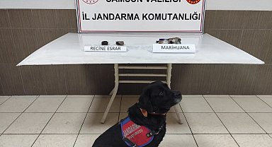 Samsun'da uyuşturucu operasyonu: 1 gözaltı