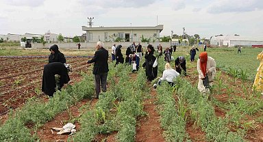 Şanlıurfa'da emekli kadınlara "süs bitkisi yetiştiriciliği eğitimi"