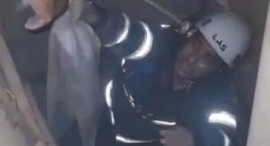 Şanlıurfa´da havalandırma boşluğuna düşen 3 yavru kedi kurtarıldı