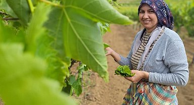 Sarıgöl'de evlerde salamura yaprak zamanı