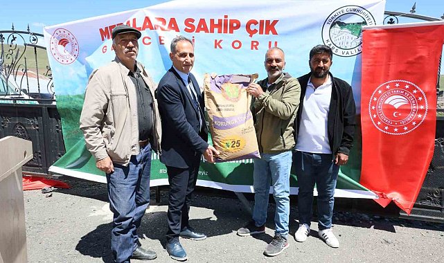 Sarıkamış'ta korunga tohumu dağıtıldı