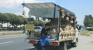 Sarımsak satıcısının tehlikeli yolculuğu