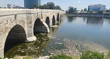 Seyhan Nehri'nde kirlilik: İzmir Körfezinden bile daha kötü durumda